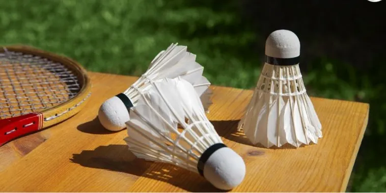 Cách Chơi Cá Cược Cầu Lông Tại Fun88 Vui Nhộn Thắng Lớn